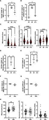 Replication stress increases mitochondrial metabolism and mitophagy in FANCD2 deficient fetal liver hematopoietic stem cells